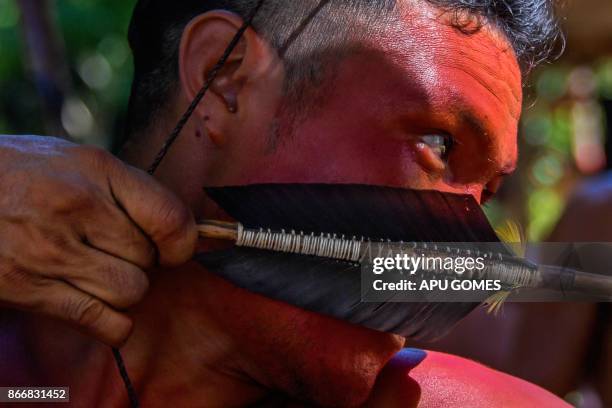 Waiapi Ribe 2,730 Amazon Rainforest Tribe Stock Photos, High-Res Pictures, and ...