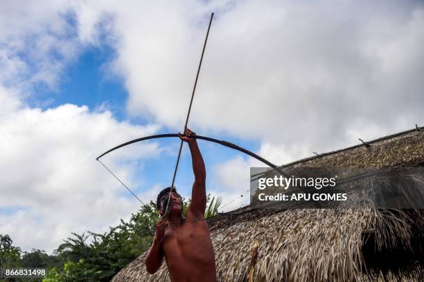Waiapi Ribe 71 Waiapi Tribe Photos & High Res Pictures - Getty Images