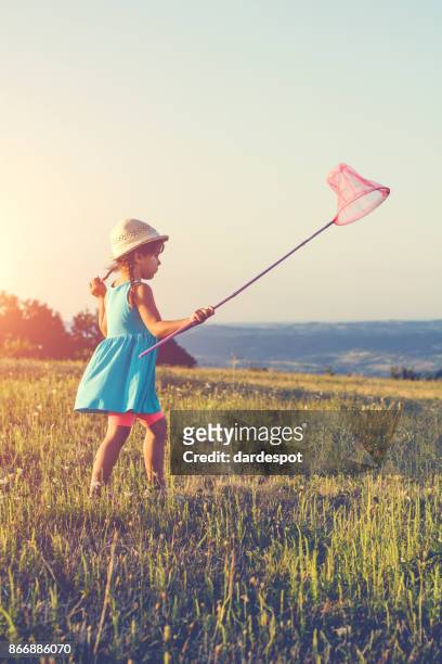 girl chasing a butterfly - catching butterflies stock pictures, royalty-free photos & images