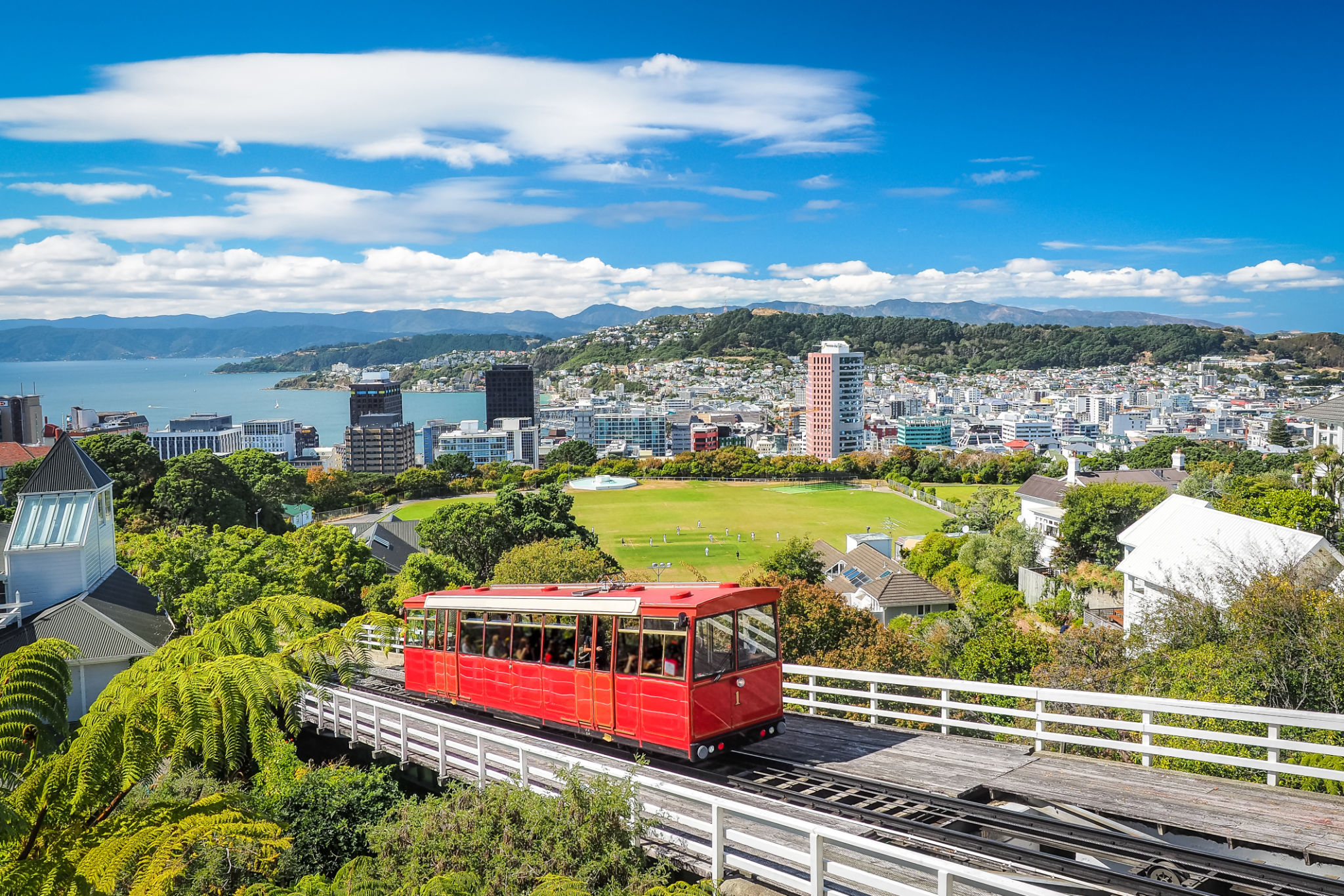 wellington landscape