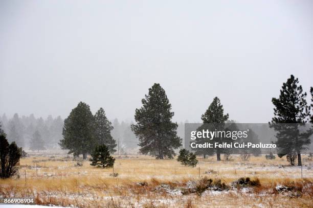 roadside of interstate 40, near flagstaff, arizona, usa - roadie stock pictures, royalty-free photos & images