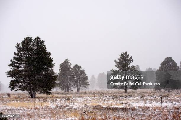 roadside of interstate 40, near flagstaff, arizona, usa - roadie stock pictures, royalty-free photos & images