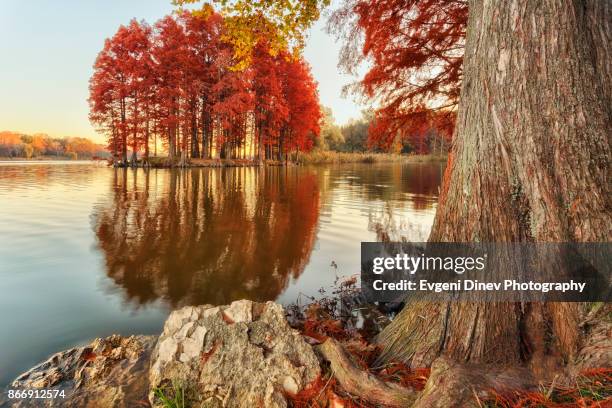 Teketo Ruse 299 Ruse Province Stock Photos, High-Res Pictures, and Images - Getty ...