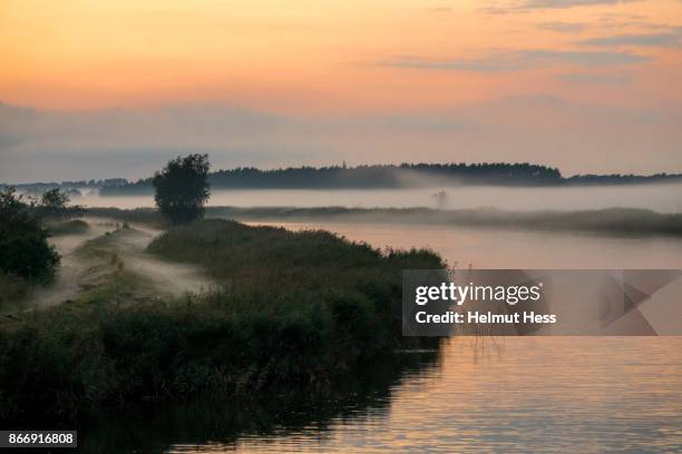 Vorpommersche Boddenlandschaft National Park Photos And Premium High vorpommersche-boddenlandschaft-national-park-photos-and-premium-high