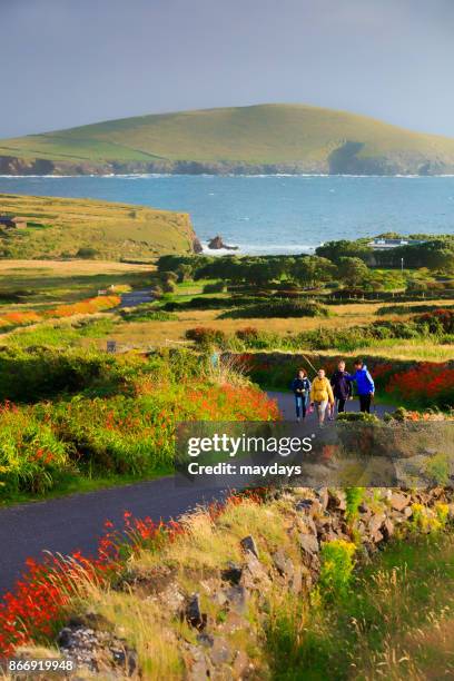 dingle peninsula - dingle town stock pictures, royalty-free photos & images