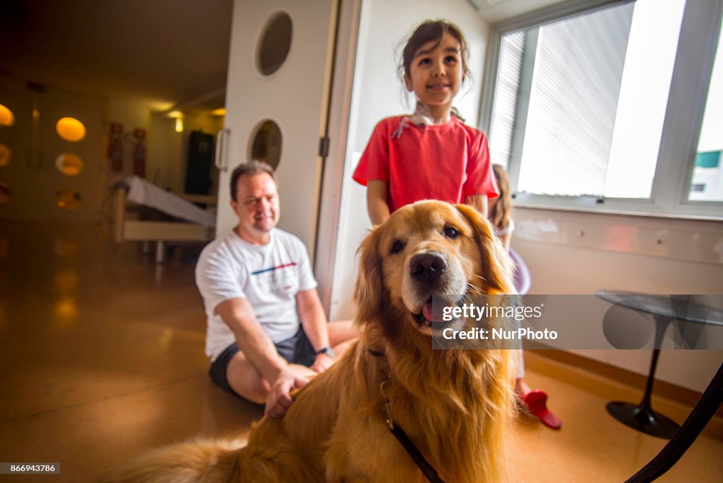 Dog Therapy In Sao Paulo