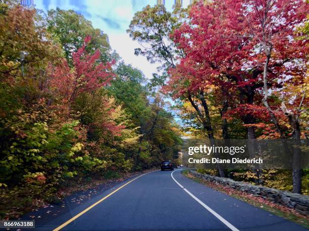 autumn colors along the road - diane diederich stock-fotos und bilder