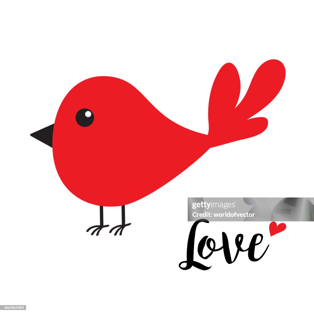 Pájaro Rojo Feliz Día De San Valentín Personaje De Dibujos Animados Lindo  Texto De La Palabra Amor Con Corazón Rojo Tarjeta De Felicitación Conjunto  De Caracteres De Dibujos Animados Lindo Diseño Plano