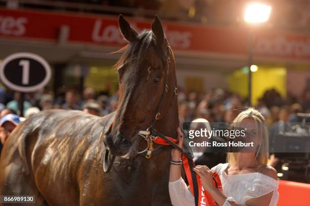 Hey Doc after winning the Ladbrokes Manikato Stakes at Moonee Valley Racecourse on October 27, 2017 in Moonee Ponds, Australia.