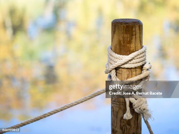 A Riping Rope Ripping Rope Photos and Premium High Res Pictures - Getty Images