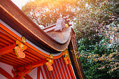 Japan style shrine red rood temple closeup rood with autumn season maple tree
