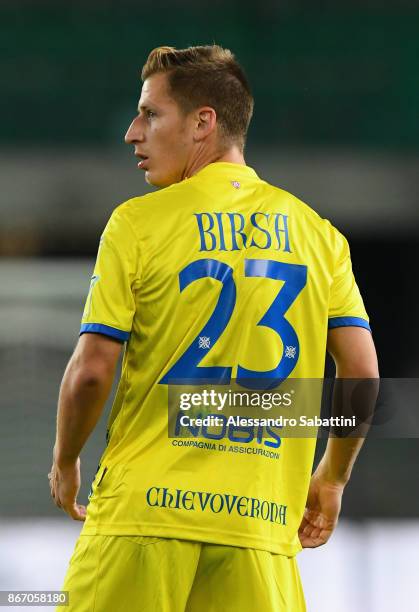 Valter Birsa AC Chievo Verona looks on during the Serie A match between AC Chievo Verona and AC Milan at Stadio Marc'Antonio Bentegodi on October 25,...