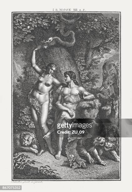sin of the first people (genesis 3, 1-8), published c.1850 - adam and eve stock illustrations