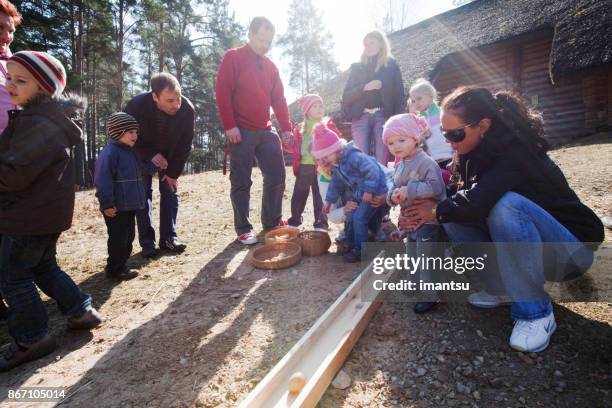 easter ritual of rolling painted eggs - open air museum stock pictures, royalty-free photos & images