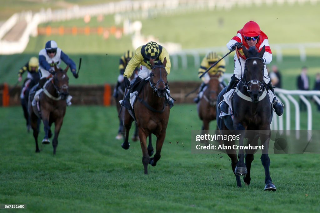 Cheltenham Races