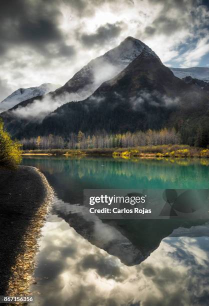 morning reflections - foresta nazionale di chugach foto e immagini stock