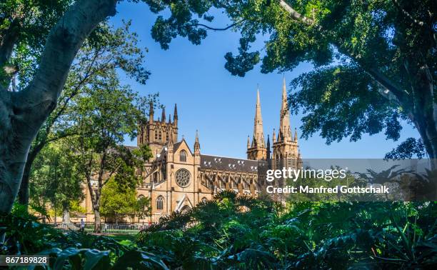 st mary's cathedral sydney - hyde park sydney stock pictures, royalty-free photos & images