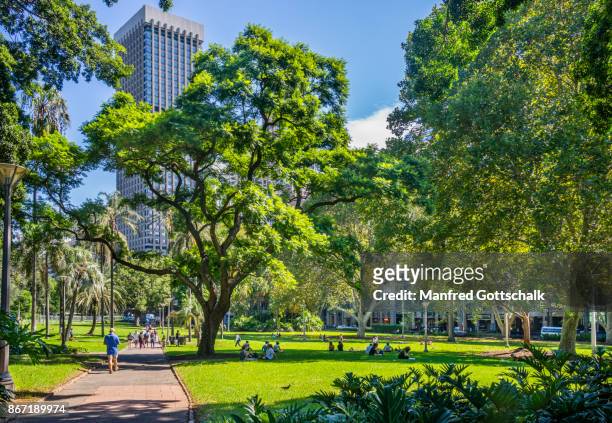 urban oasis of hyde park sydney - hyde park sydney stock pictures, royalty-free photos & images