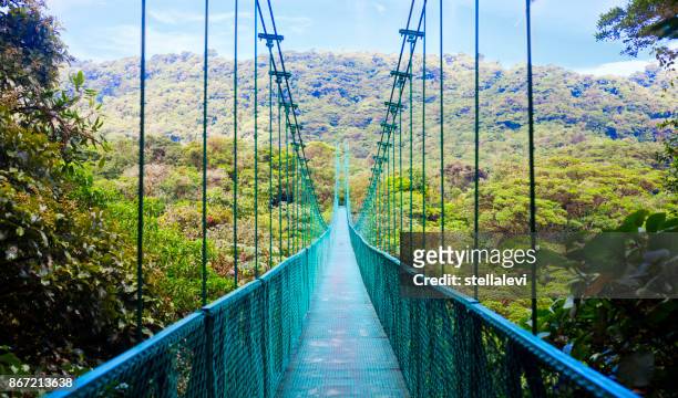 suspension bridge in rain forest, costa rica - costa rica stock pictures, royalty-free photos & images