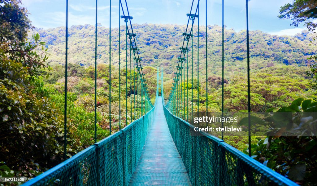 Ponte pênsil na floresta tropical, Costa Rica