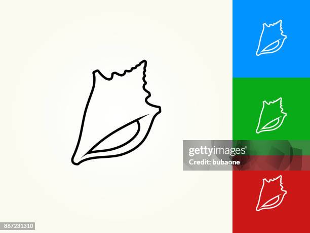 conch shell black stroke linear icon - conch stock illustrations