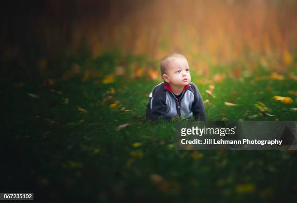 15 month old fraternal twin crawls in the grass and leaves on a beautiful autumn day in iowa - european best pictures of the day october 15 2017 stock-fotos und bilder