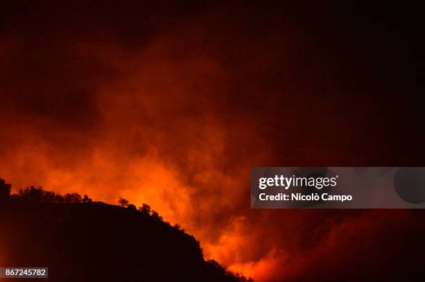 Fire burns in a mountain of the Susa Valley near Turin. The fires have been burning for several days favored by strong wind and drought, so smoke has...