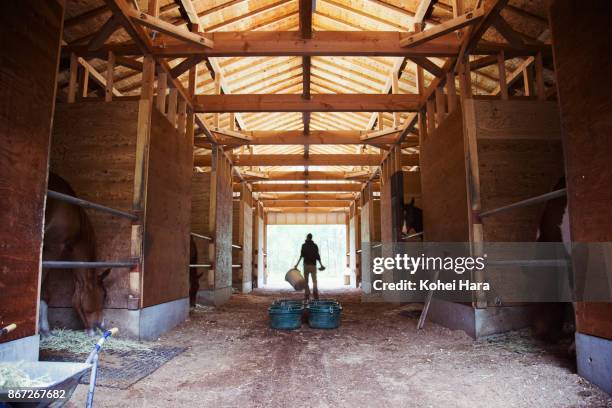 Man Stable 22,748 Horse Barn Stock Photos, High-Res Pictures, and Images - Getty ...