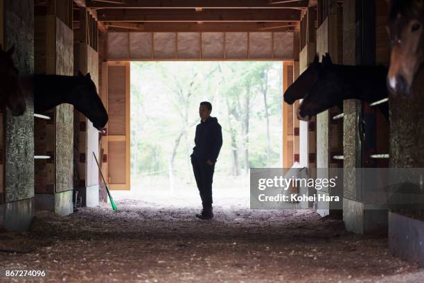 man working in the horse stables - züchter stock-fotos und bilder