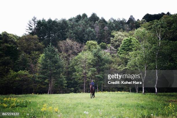 man riding on the horse in the pastureland in the rain - claro herboso fotografías e imágenes de stock