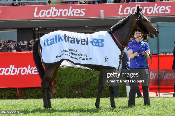 Banish after winning the italktravel Fillies Classic at Moonee Valley Racecourse on October 28, 2017 in Moonee Ponds, Australia.