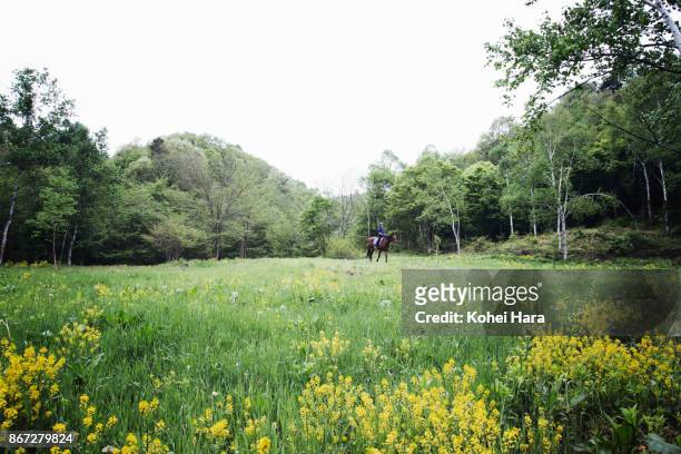 man riding on the horse in the pastureland in the rain - gunma stock pictures, royalty-free photos & images