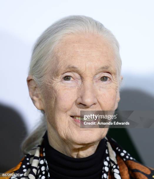 Primatologist Dr. Jane Goodall arrives at the premiere of National Geographic Documentary Films' "Jane" at the Hollywood Bowl on October 9, 2017 in...