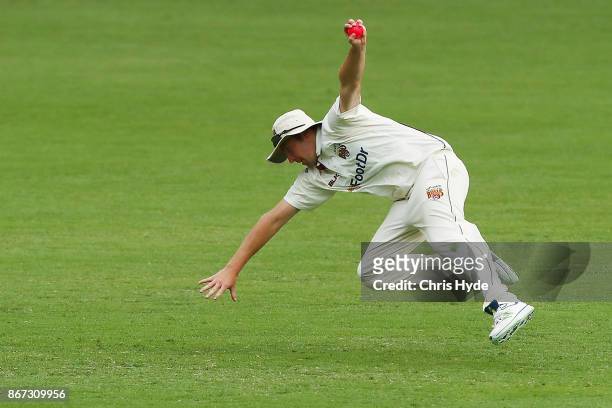 Luke Feldman of the Bulls take a catch to dismiss Sam Harper of the Bushrangers during day three of the Sheffield Shield match between Queensland and...