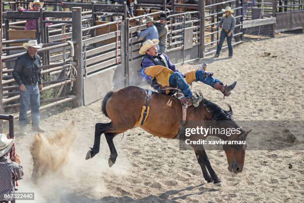 cowboy rider in een rodeo, utah, vs - rearing up stockfoto's en -beelden
