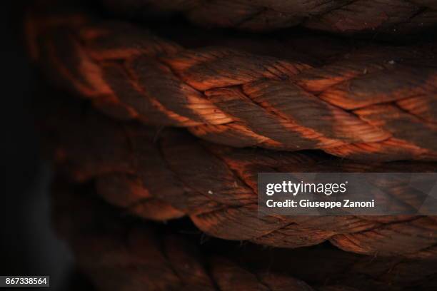 orange rope - suet stock pictures, royalty-free photos & images