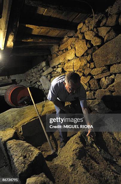 Portuguese winegrower Armindo Sousa Pereira digs up bottles of wine which he had buried in his cellar on May 5, 2009. Traditionally produced for...