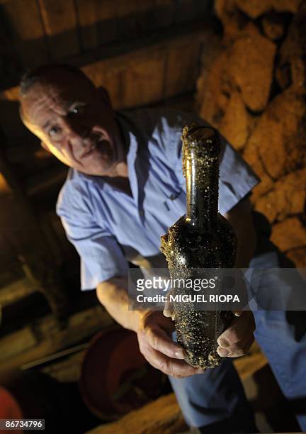 Portuguese winegrower Armindo Sousa Pereira poses with a bottle of wine which he had buried in his cellar on May 5, 2009. Traditionally produced for...