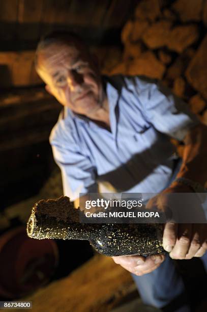 Portuguese winegrower Armindo Sousa Pereira poses with a bottle of wine which he had buried in his cellar on May 5, 2009. Traditionally produced for...