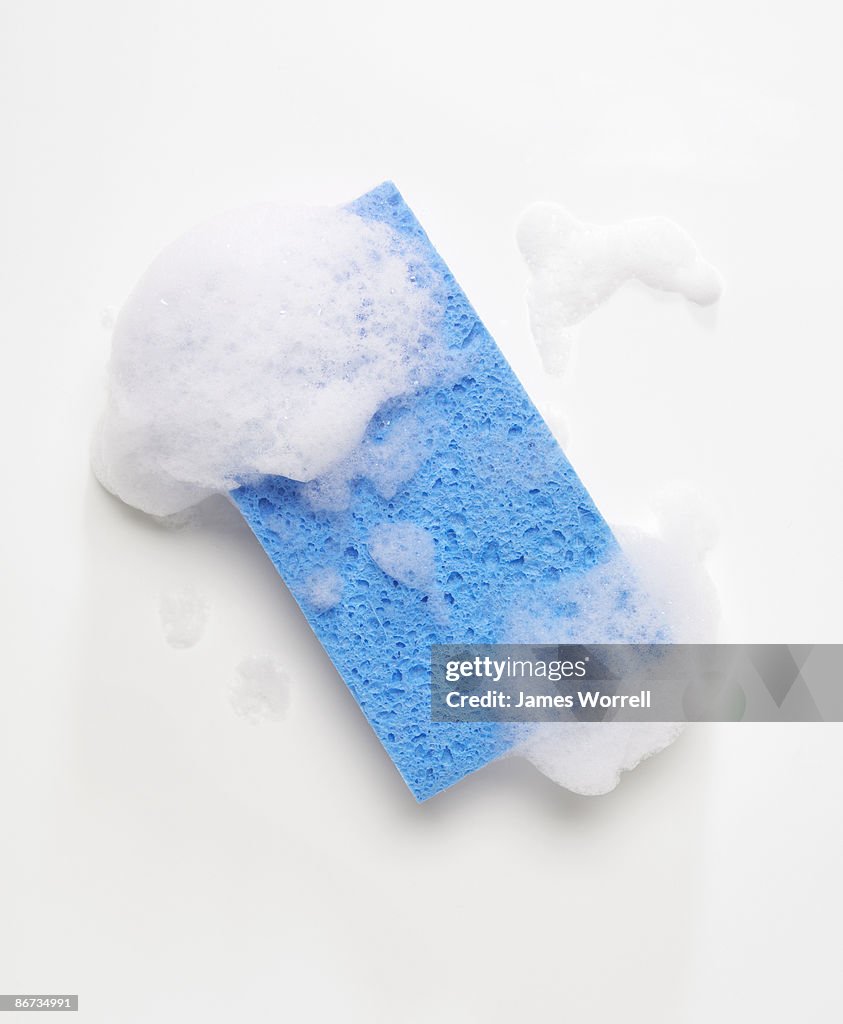 Blue Sponge with Soap Suds