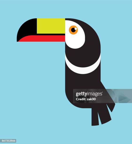 toucan bird - toucan stock illustrations