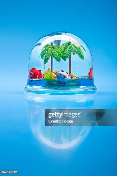 snow globe with tropical scene - snow globe stock-fotos und bilder
