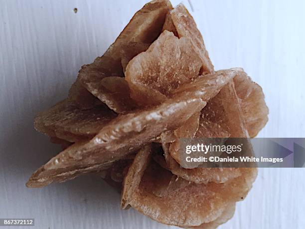 Sand Rosa 1,603 Sand Rose Stock Photos, High-Res Pictures, and Images - Getty Images