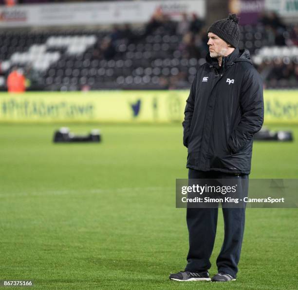 Ospreys' Head Coach Steve Tandy during the pre match warm up during the Guinness Pro14 Round 7 match between Ospreys and Dragons at Liberty Stadium...