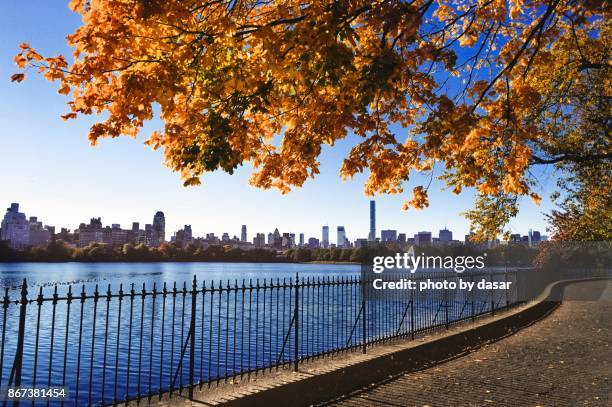 skyline from central park - manhattan autumn stock-fotos und bilder