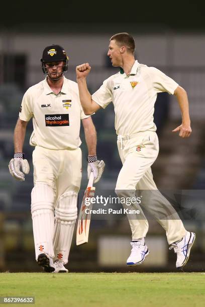 Jackson Bird of the Tigers celebrates the wicket of Ashton Turner of Western Australia during day three of the Sheffield Shield match between Western...