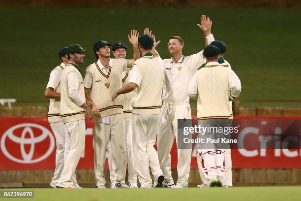 Jackson Bird of the Tigers celebrates the wicket of Josh Inglis of Western Australia during day three of the Sheffield Shield match between Western...