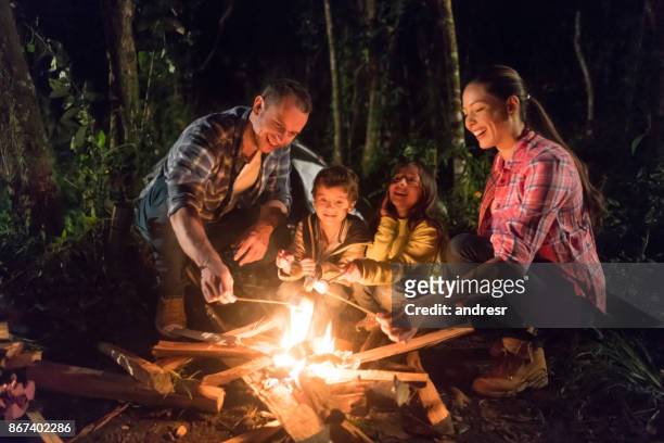 famiglia felice che si diverte in campeggio - bon fire foto e immagini stock
