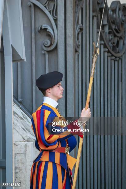 pontifical swiss guard - halberd stock pictures, royalty-free photos & images