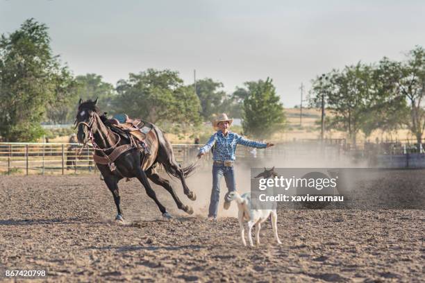 Goat Roping Rodeo Fast Goat Photos and Premium High Res Pictures - Getty Images